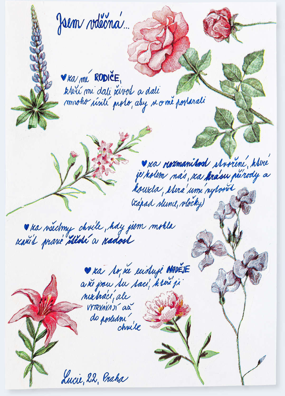 Česká vděčnost - dopis